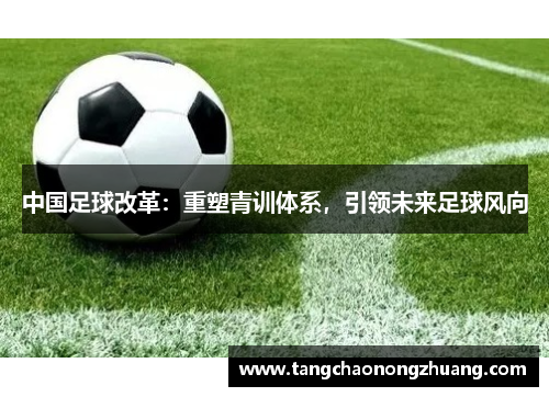 中国足球改革：重塑青训体系，引领未来足球风向